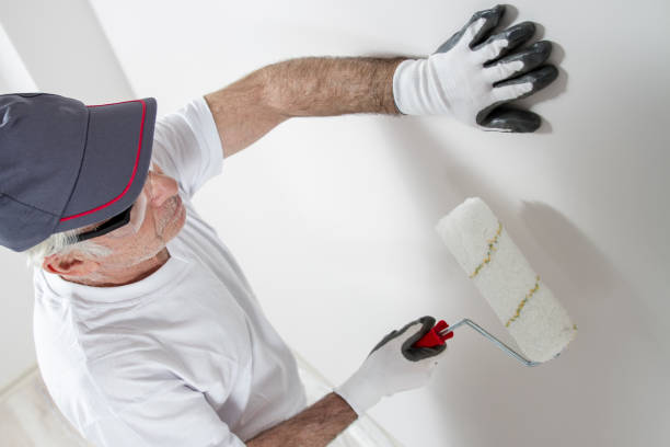 Best Mold Removal for HVAC Installations  in Lake Caroline, VA