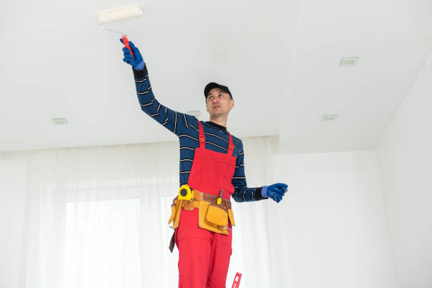 Best Asbestos and Lead Testing During Mold Inspection  in Lake Caroline, VA
